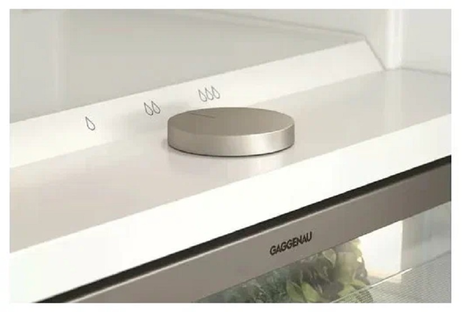 Холодильник с морозильной камерой Gaggenau RB289300